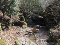 河川プール付近　※3月撮影の為、プールは閉鎖中