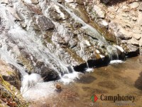 河川プール付近　※3月撮影の為、プールは閉鎖中