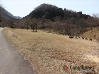 キャンプ場の画像