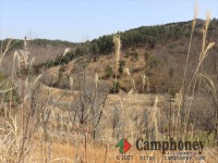 眺めは一番良いサイトです
※3月に撮影