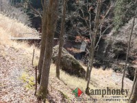 【車乗入れ可】【第二キャンプ場】上流側奥