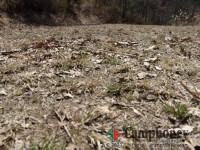 【車乗入れ可】【第二キャンプ場】上流側奥