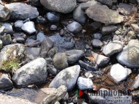 テントサイトの横の川