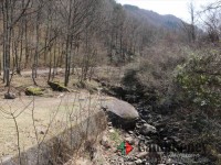 【車乗入れ可】【第二キャンプ場】川沿い＆橋の横