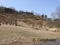 【第2キャンプ場】のテントサイト