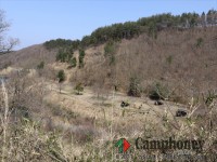 【車乗入れ可】【第二キャンプ場】一番広いサイト