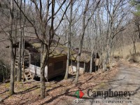 第2バンガローの周辺