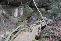 キャンプ場の画像