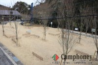 デイキャンプ（日帰り）