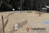 デイキャンプ（日帰り）