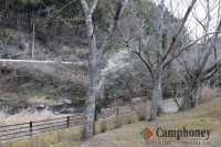 第1キャンプ場付近