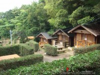 キャンプ場の画像