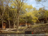 キャンプ場の画像