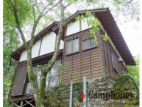 【棟名】コウホネ