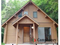 【棟名】たんぽぽ