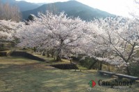 キャンプ場の画像