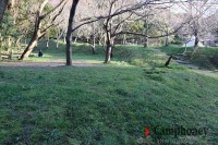 一番下のフリーサイト