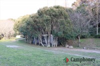 下から2番目のフリーサイト