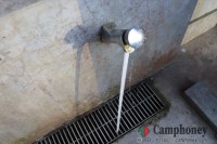 トイレ前の水場