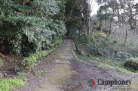 下から3番目の広場への道