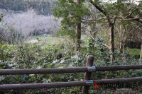 下から3番目のフリーサイト