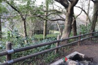 下から3番目のフリーサイト