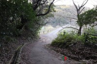 下から4番目のフリーサイト