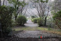 キャンプ場の画像