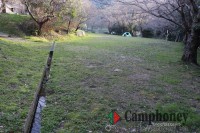 申込み必要＆無料キャンプ場＆通年営業＆入退場自由のフリーサイト