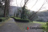 申込み必要＆無料キャンプ場＆通年営業＆入退場自由のフリーサイト