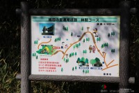 キャンプ場の場内画像thum