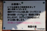 キャンプ場の場内画像thum