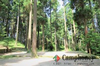 林間キャンプ場　テントサイト(小)