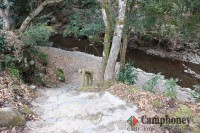 ピザ窯のある炊事場のすぐ横から小川へ行ける