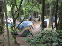 キャンプ場の画像