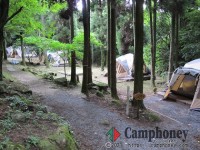 【無料】常設テント(毎年7月21日～8月25日)、持込テント