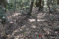 つぐみ村の道のり(悪路)