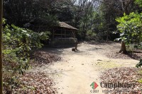 キャンプ場の画像