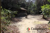 市街地の中の森林でプライベート空間を楽しめる無料キャンプ