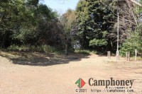 市街地の中の森林でプライベート空間を楽しめる無料キャンプ