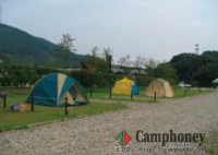 オートサイト（1サイト約 10ｍ*10ｍ ：駐車スペース含む）