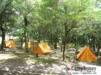 金立教育キャンプ場