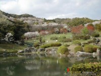 キャンプ場の画像