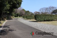 オートキャンプ場(区画サイト)　日帰り