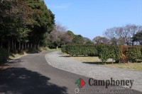 オートキャンプ場(区画サイト)　宿泊