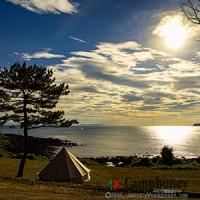 【フリーサイト】値段：人数