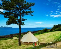 【フリーサイト】値段：人数