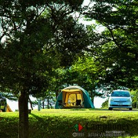 【オートサイト】電源付き、値段：区画