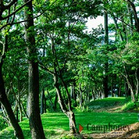 【一般サイト】値段：区画