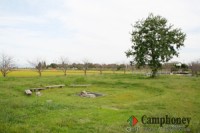 キャンプファイヤー場